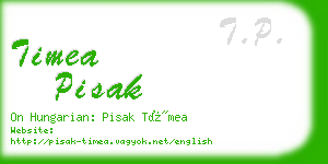 timea pisak business card